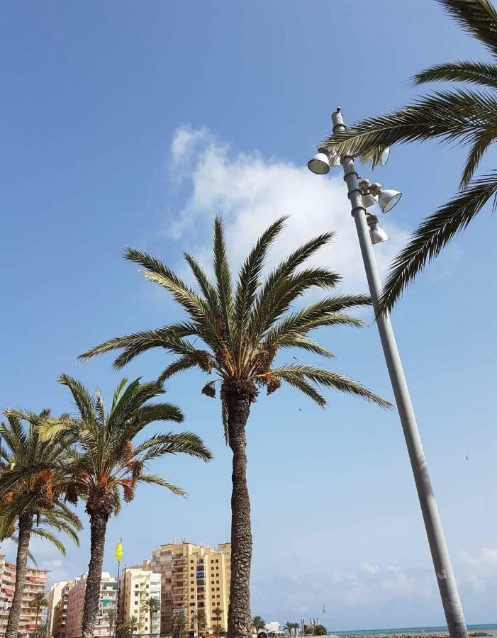 Apartament Nicoletta 1 Costa Blanca Torrevieja