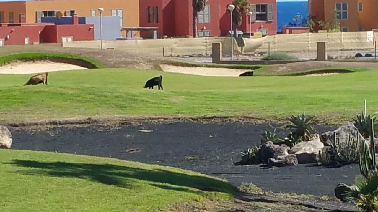 Brisa Golf Salinas Villa