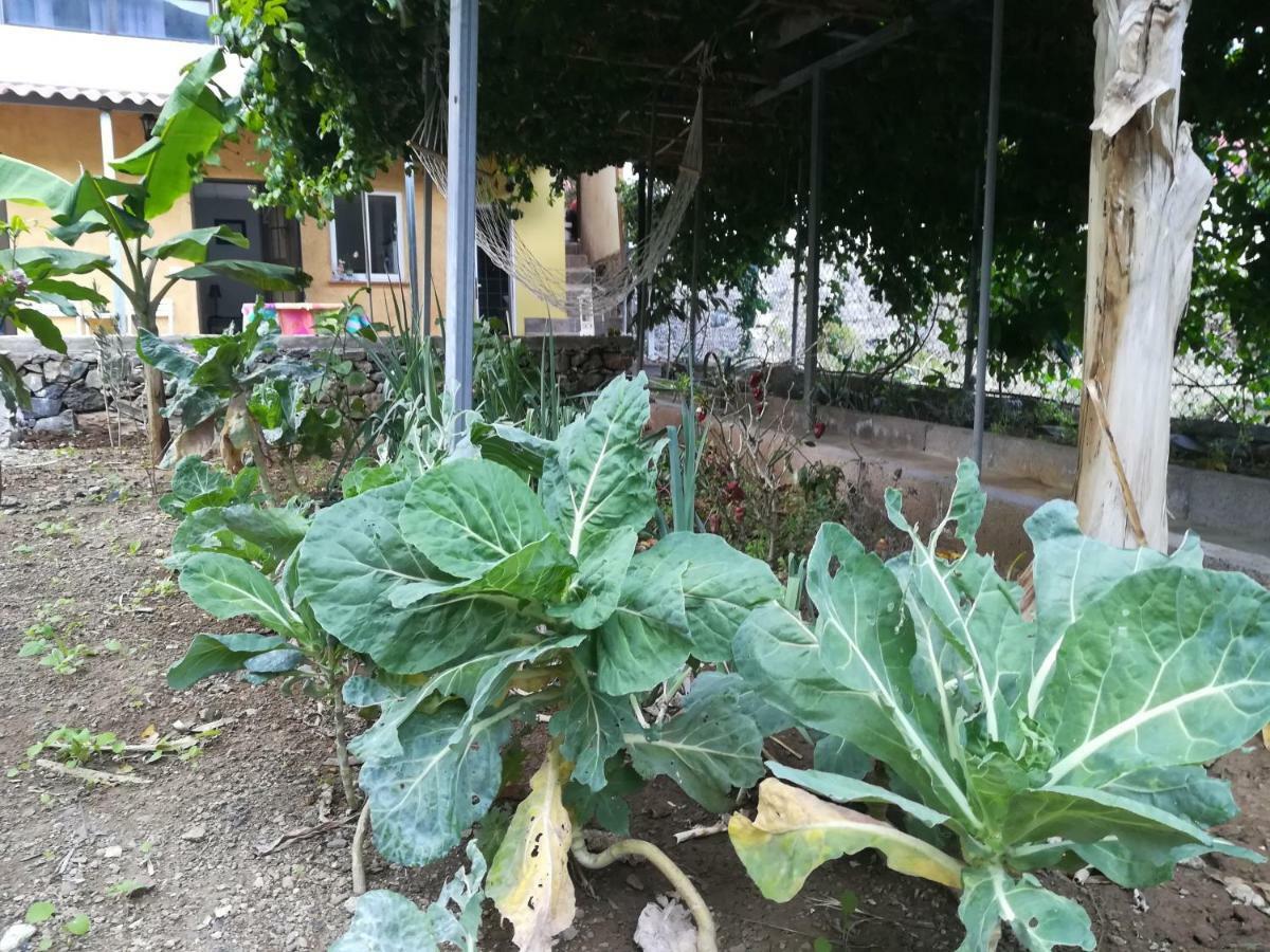 Casa La Terraza *