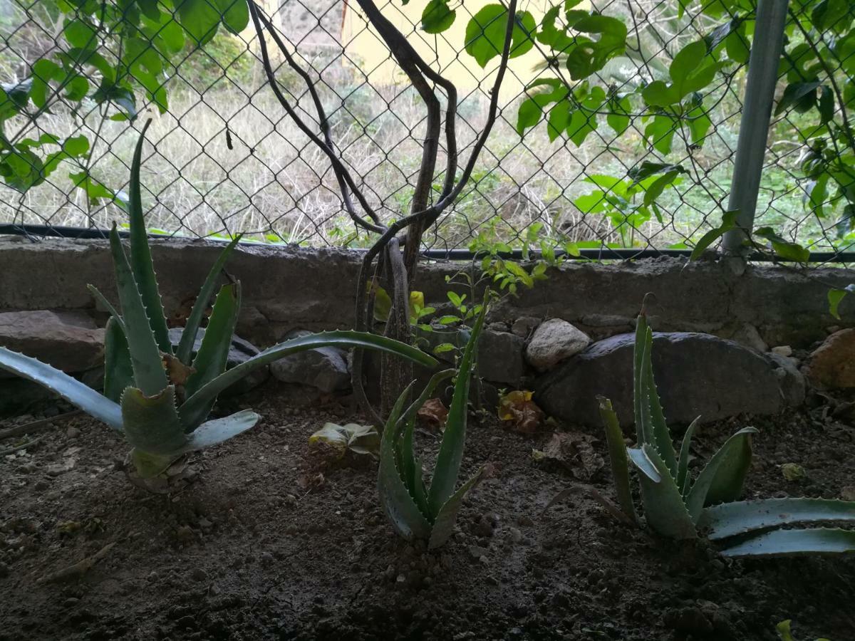 Casa La Terraza *
