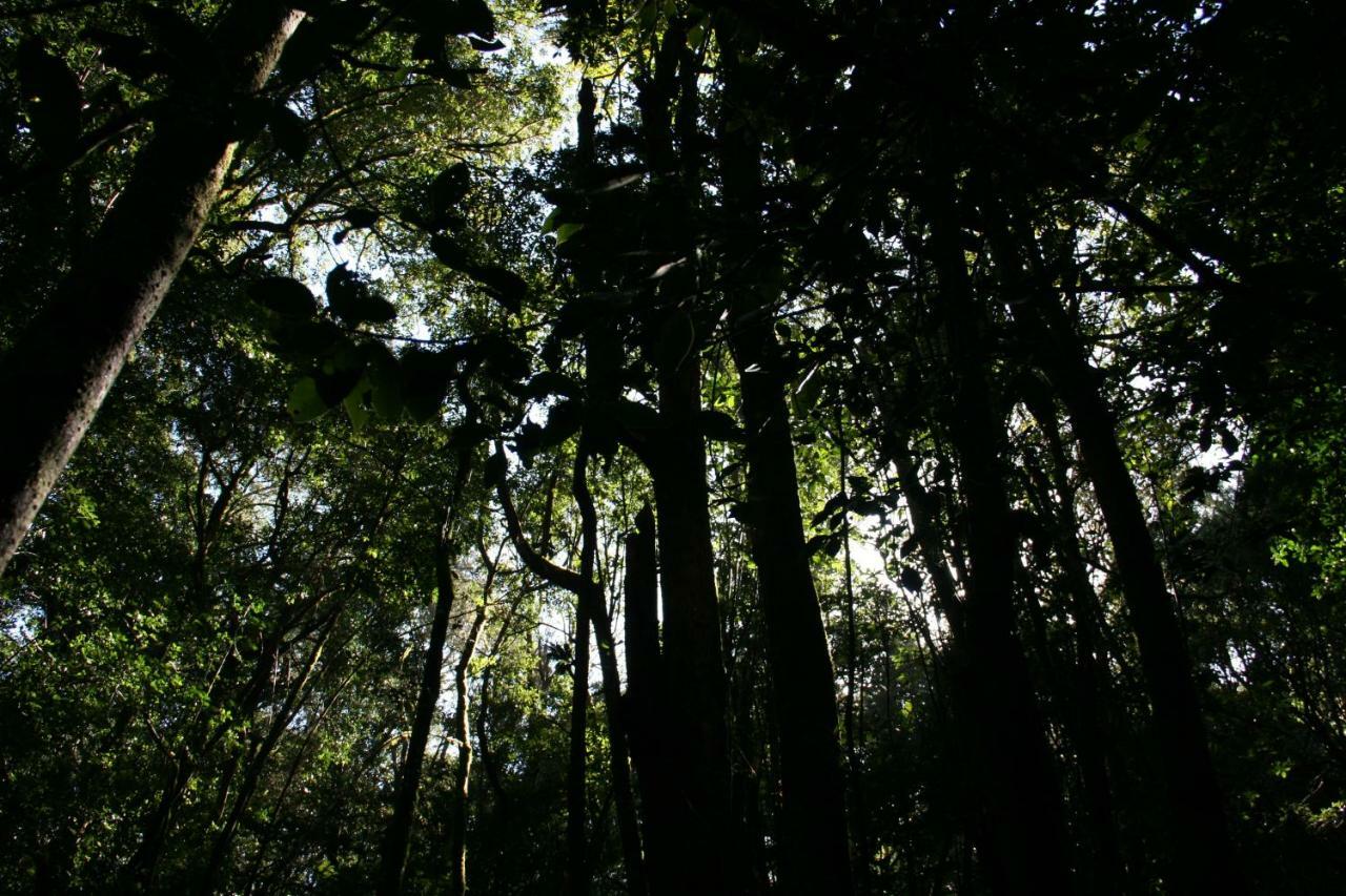 El Sabinar