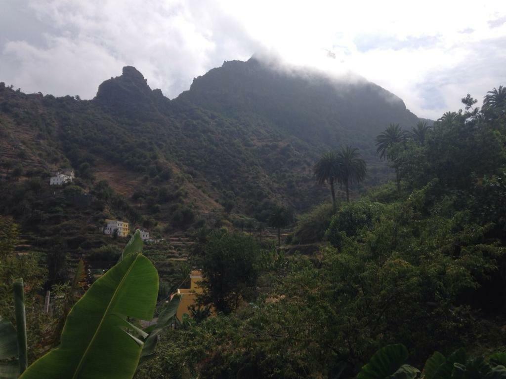 El Sabinar Vallehermoso
