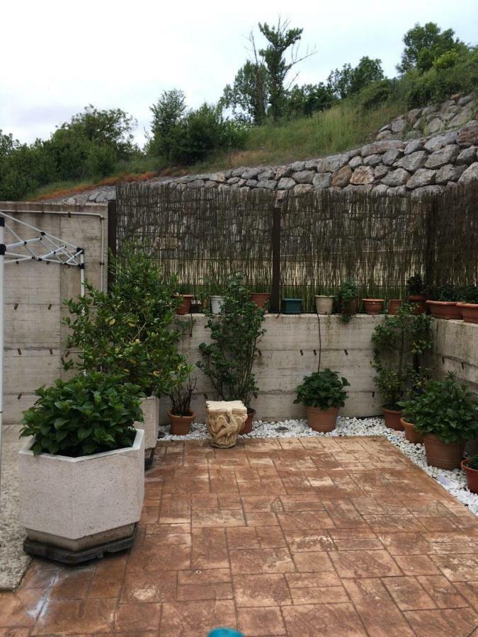 Con Jardin Apartamento