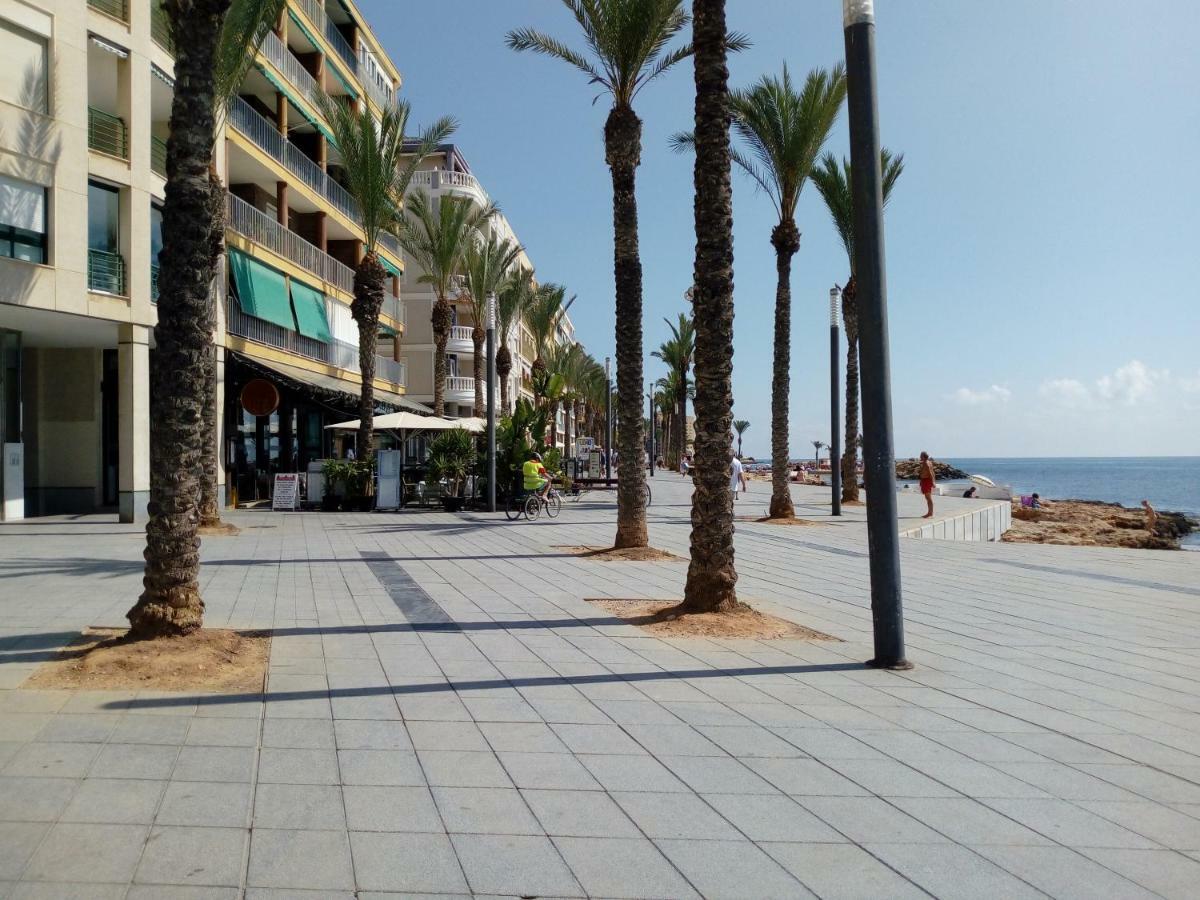 Apartment Edificio 1º Linea De Playa, En Paseo Maritimo De Torrevieja, Alicante, Costa Blanca