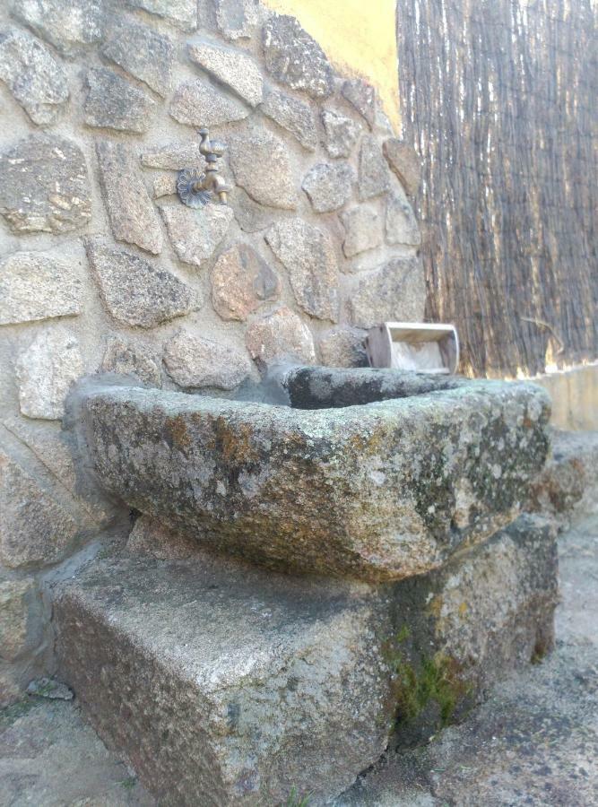 Finca Los Malagones * Arenas de San Pedro