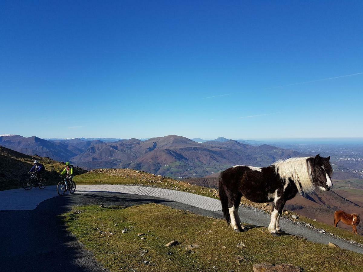 Gite De Charme En Pays Basque Сasa de vacaciones *