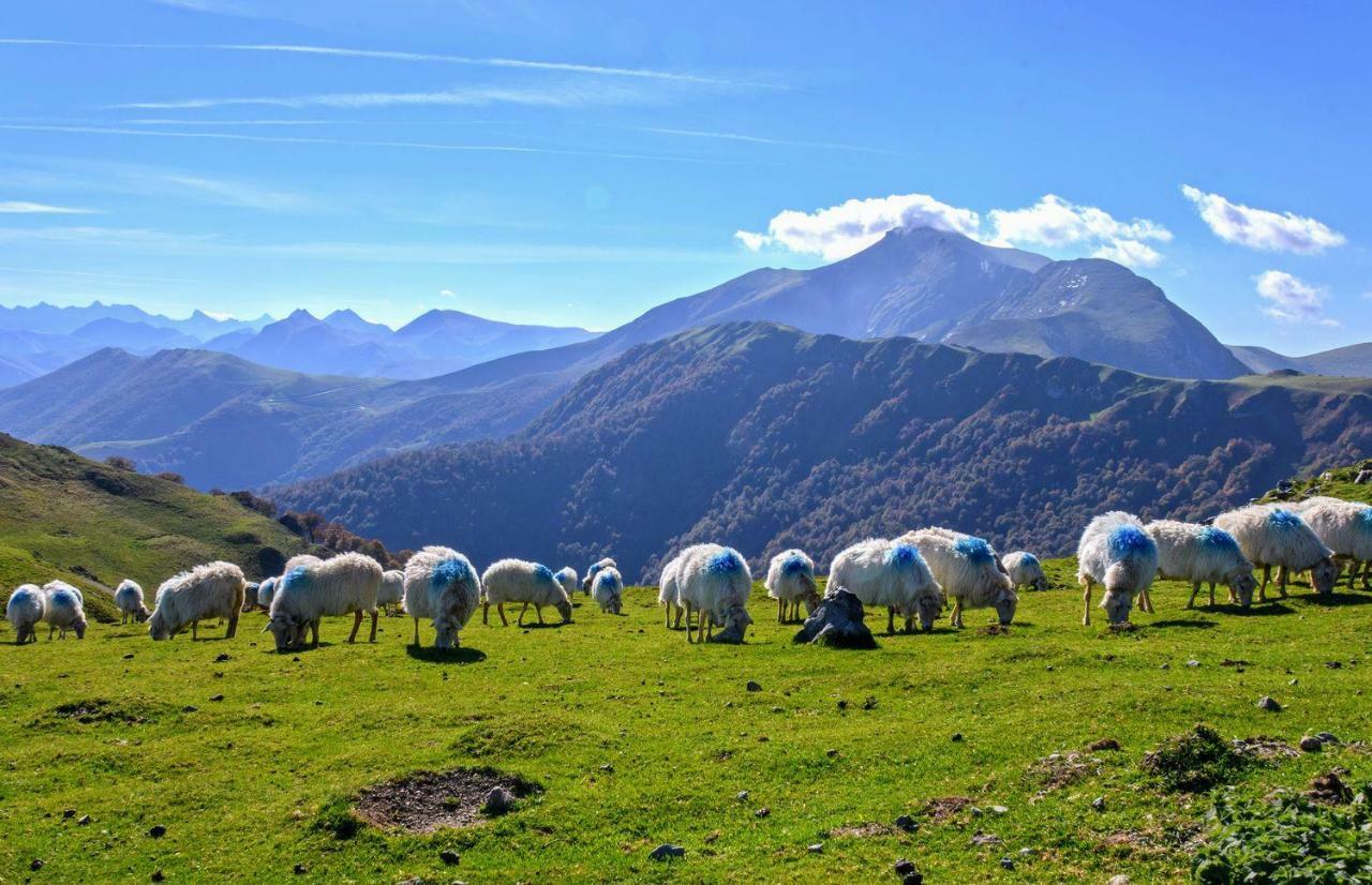 Сasa de vacaciones Gite De Charme En Pays Basque *