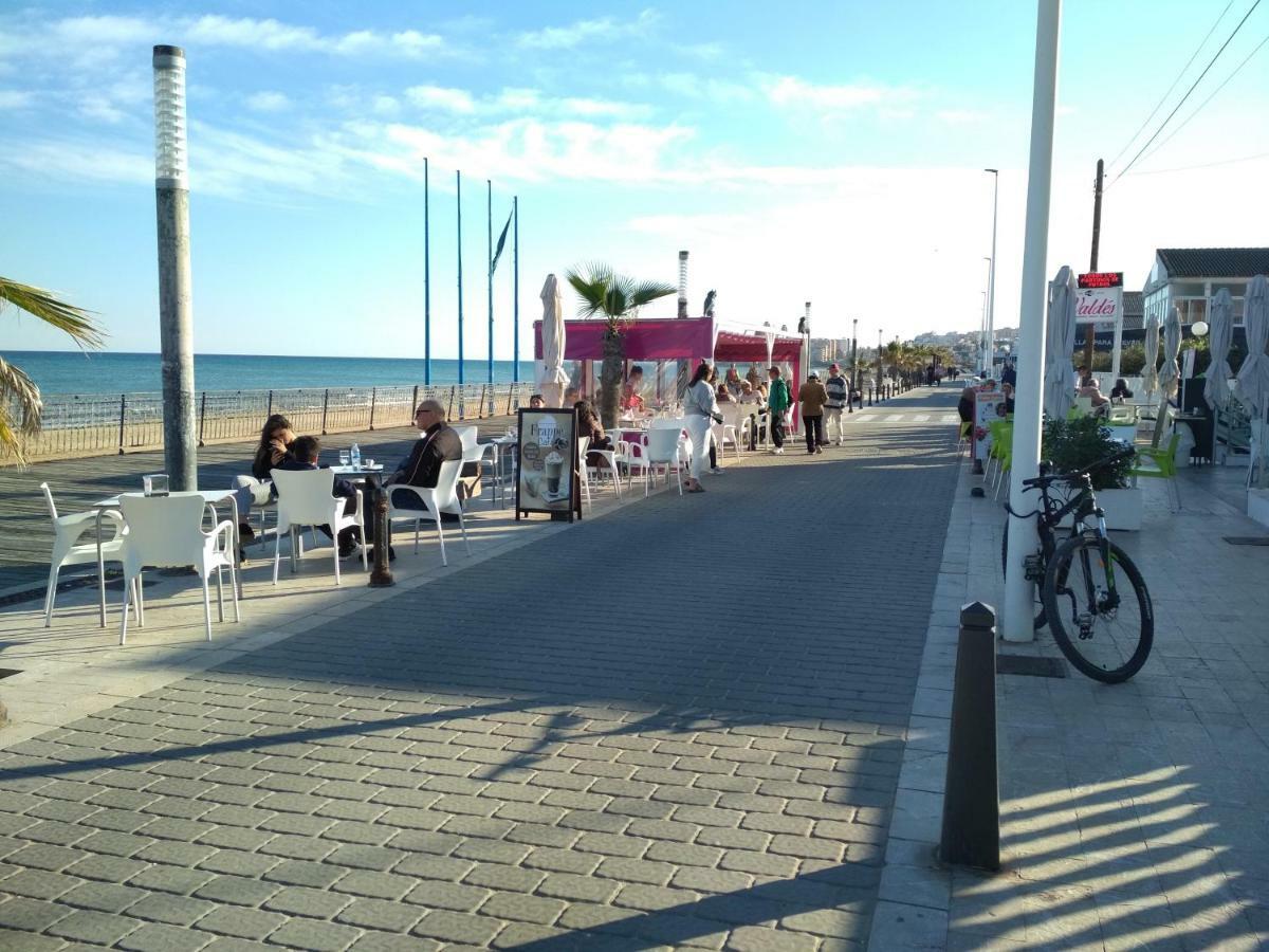 Sunny * La Mata (Torrevieja)