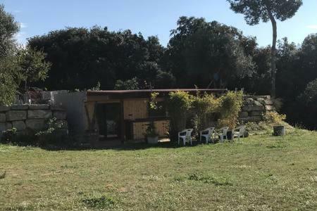 Casita En Plena Naturaleza Con Piscina Y Wifi Gratis Apartment
