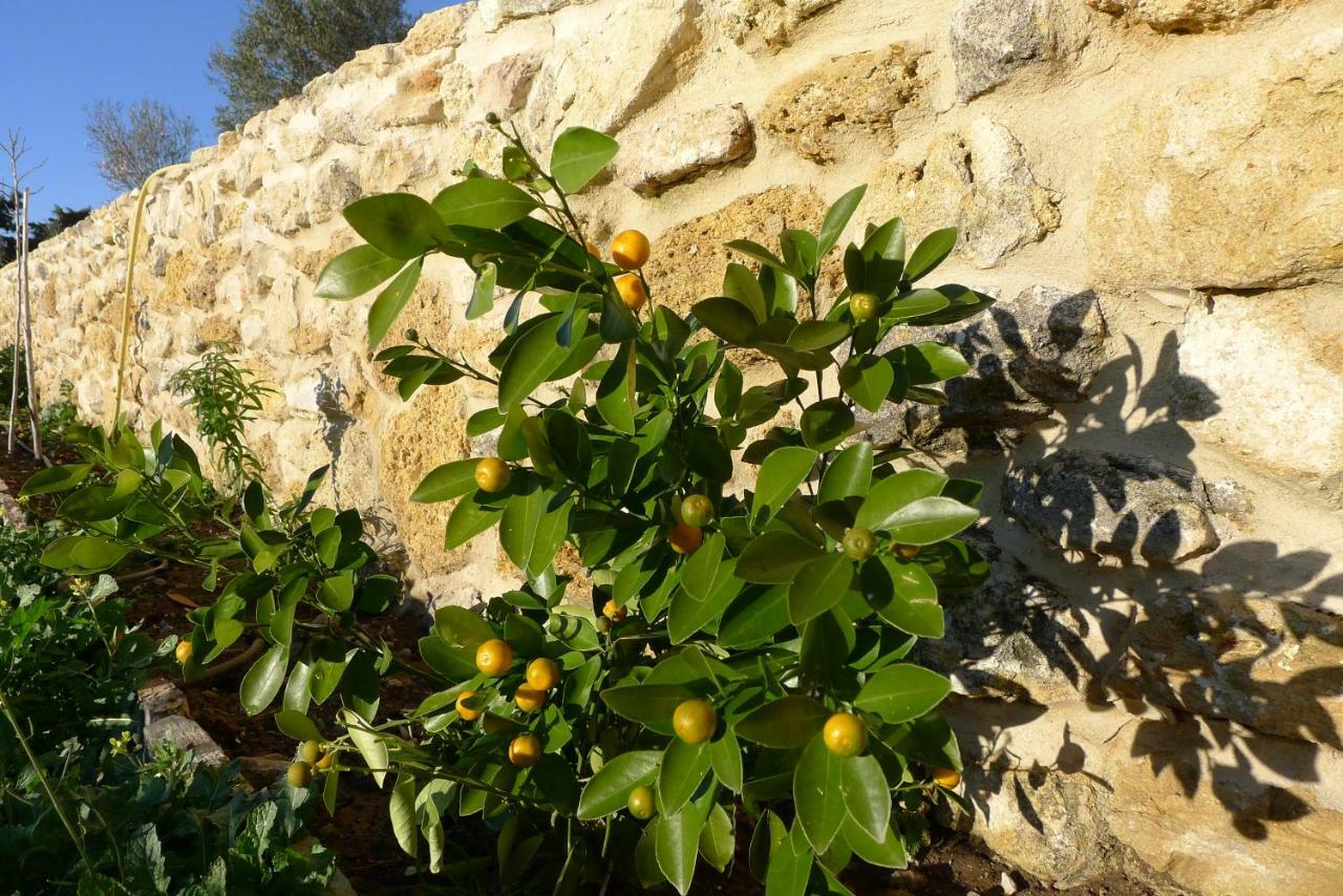 Apartment Finca Du Ressourcement Higueron Vejer de la Frontera
