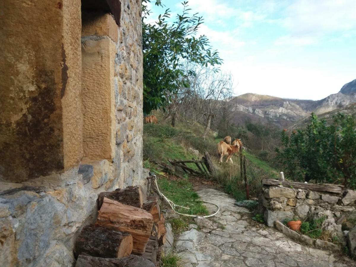 Country house La Cabana Del Beyu Pen Amieva