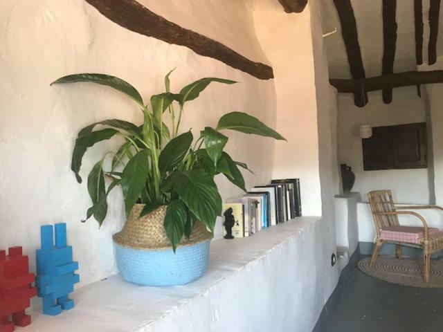 Holiday home La Antigua Chelva