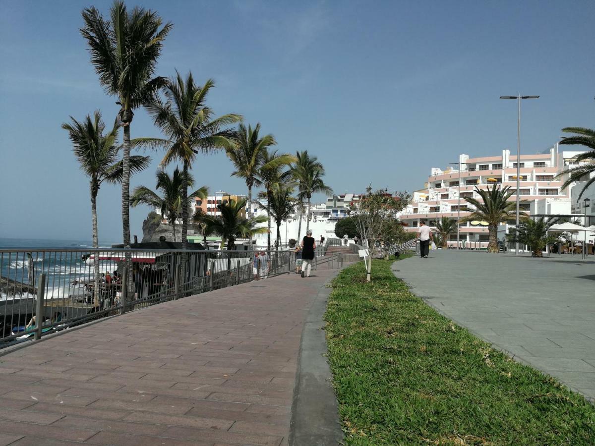 Calas Apartamento *