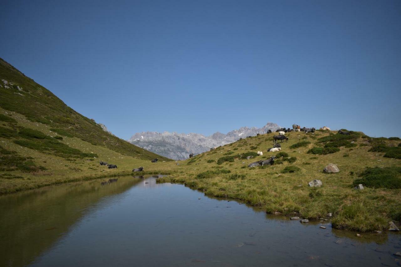 Casa El Montero Сasa de vacaciones Espinama
