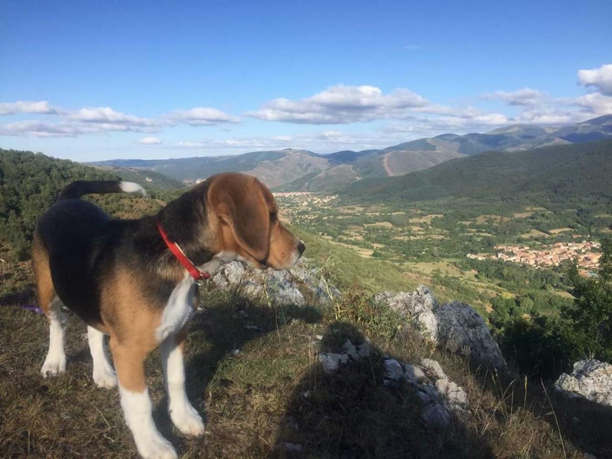 Tres Fuentes Turismo Holiday home Valganon
