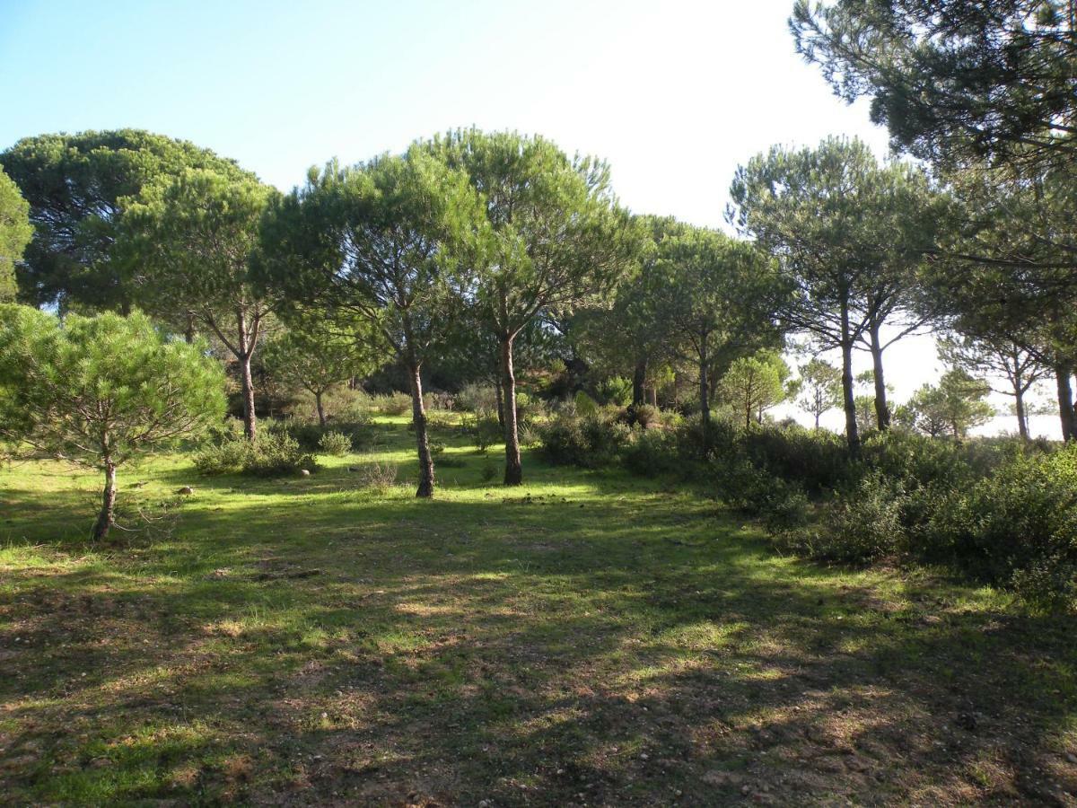 Сasa de vacaciones Casa Pilila, El Rompido *