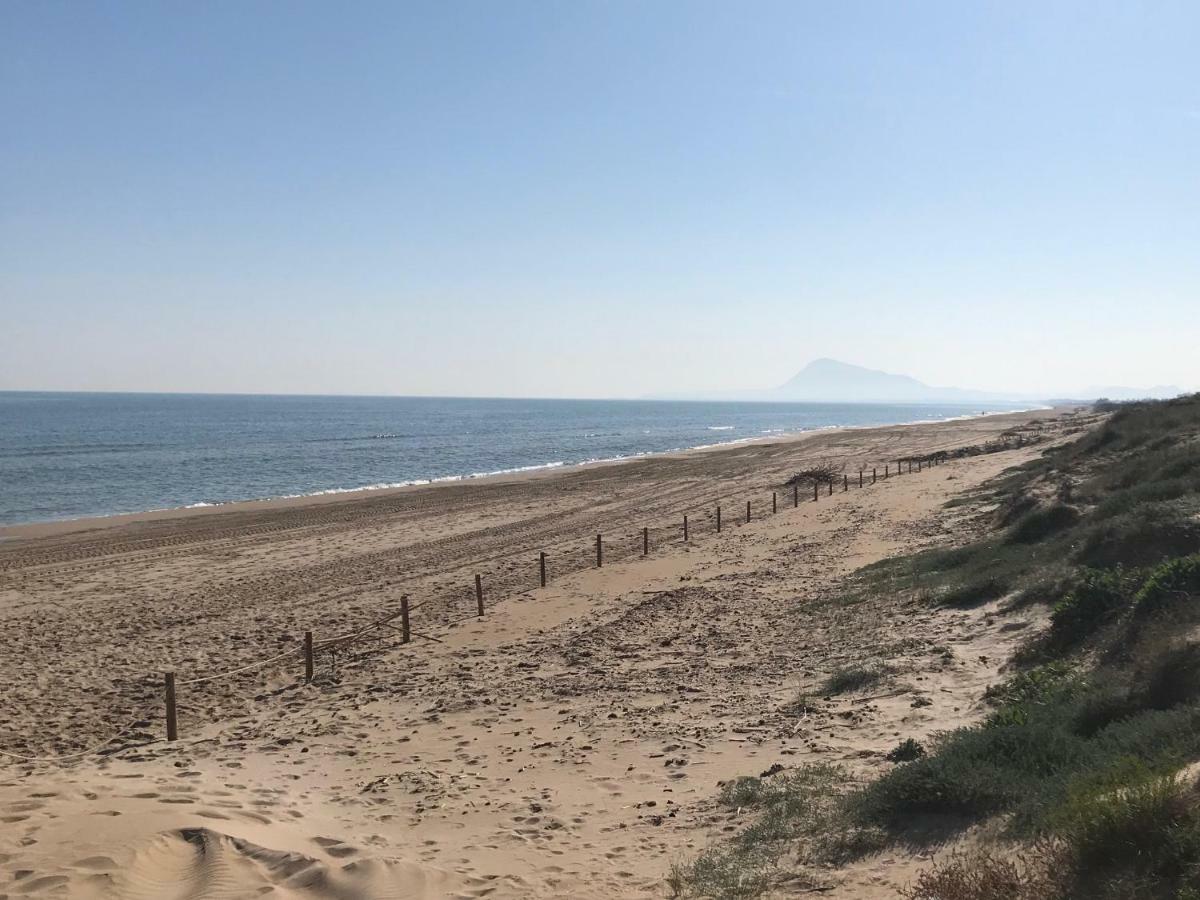 Atico Duplex En Aigua Blanca Oliva