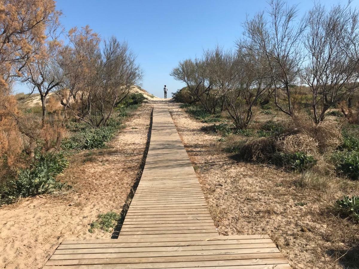 Atico Duplex En Aigua Blanca Apartamento