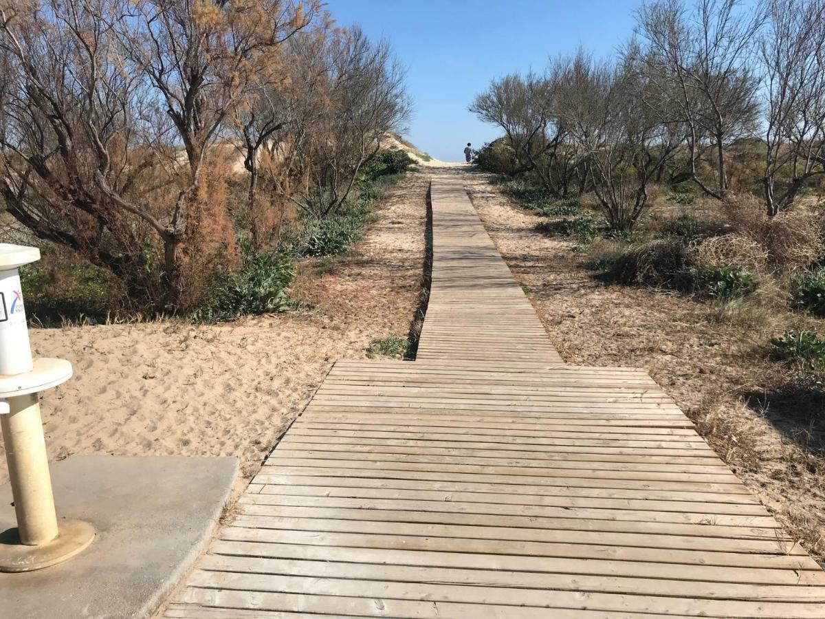 Apartamento Atico Duplex En Aigua Blanca Oliva