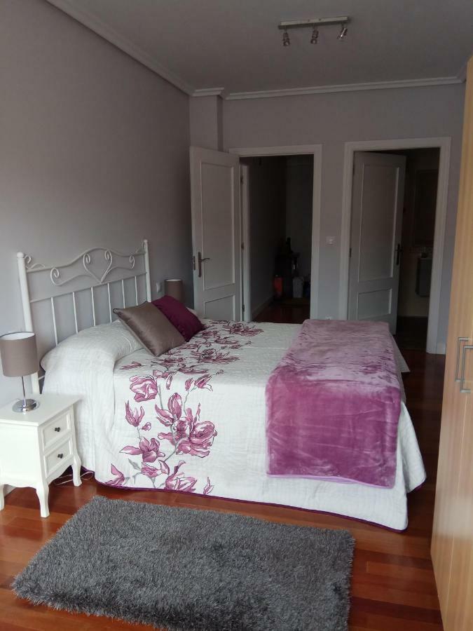 Apartamento Larrauri *