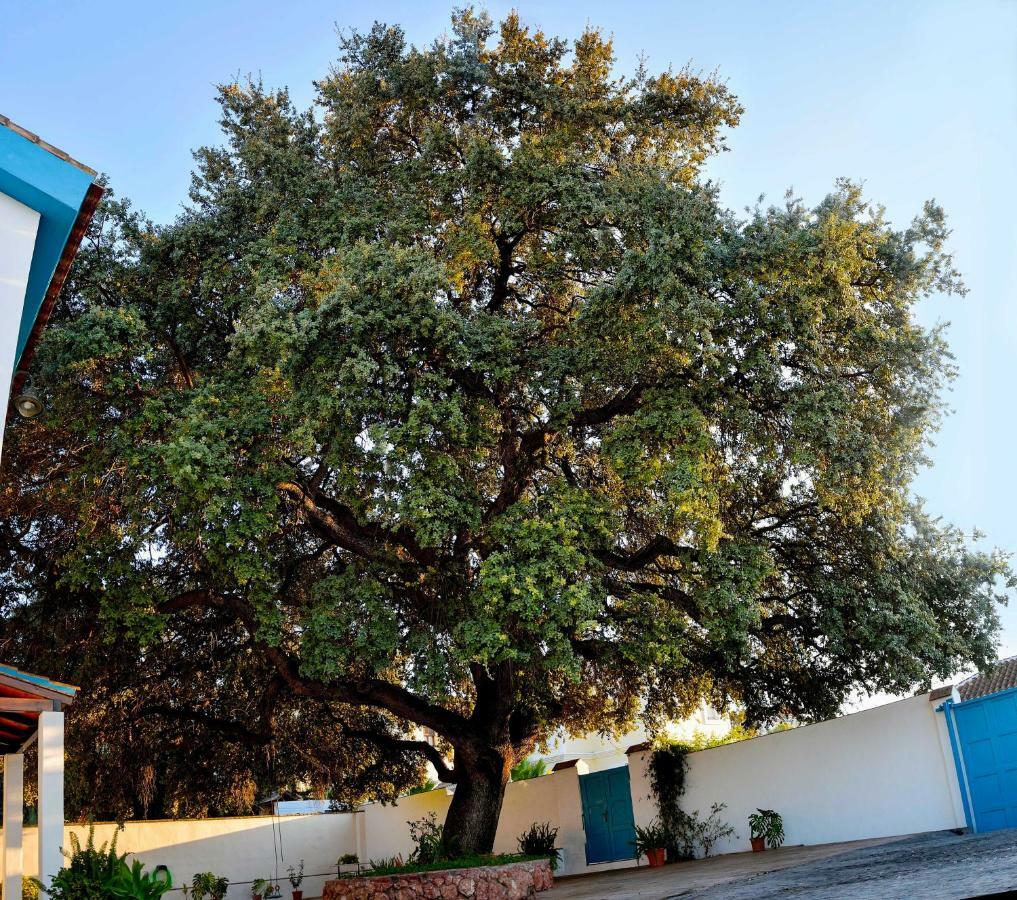 Bárbol Villa *