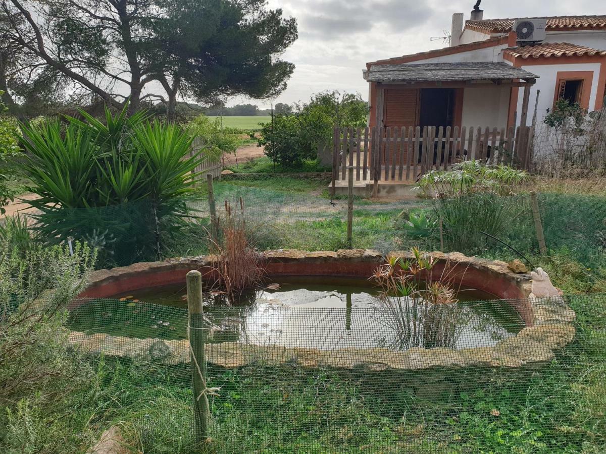 Сasa de vacaciones Tranquilidad Y Naturaleza A 800m Playa de Migjorn