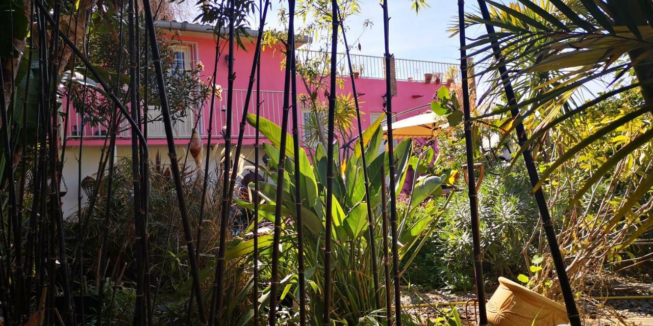 Costa Tropical Oasis