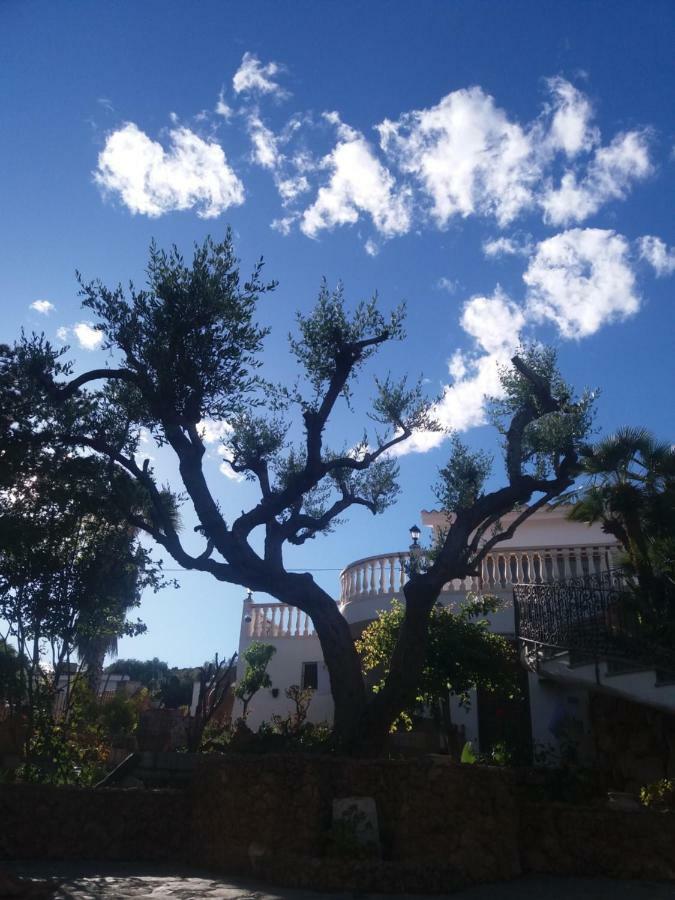 La Maravilla Homestay Peniscola
