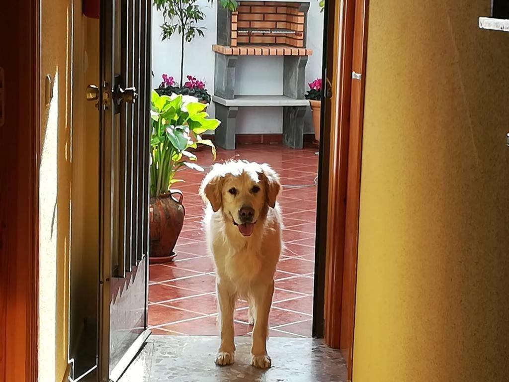 La Herencia Country house