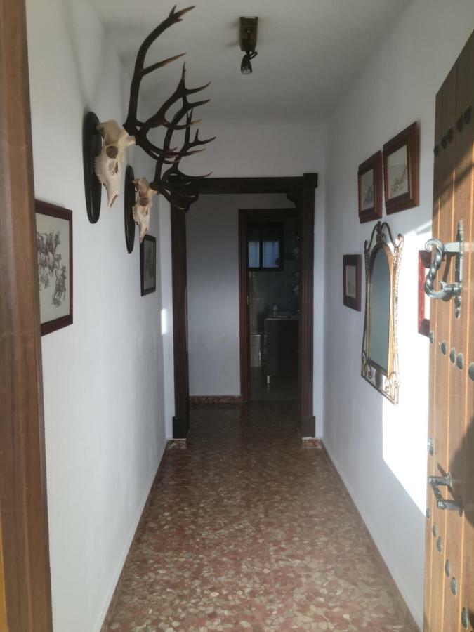 La Cigarra