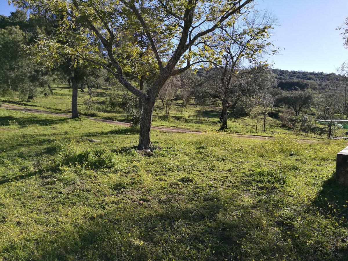 Cortijo El Alamo Cumbres de San Bartolome
