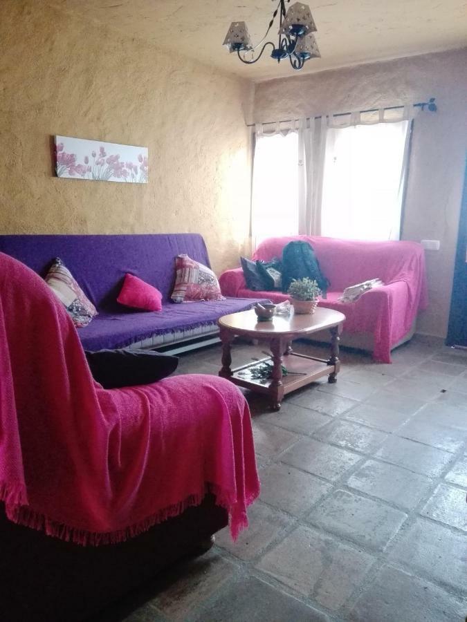 El Viejo Castano - Valle Del Genal *