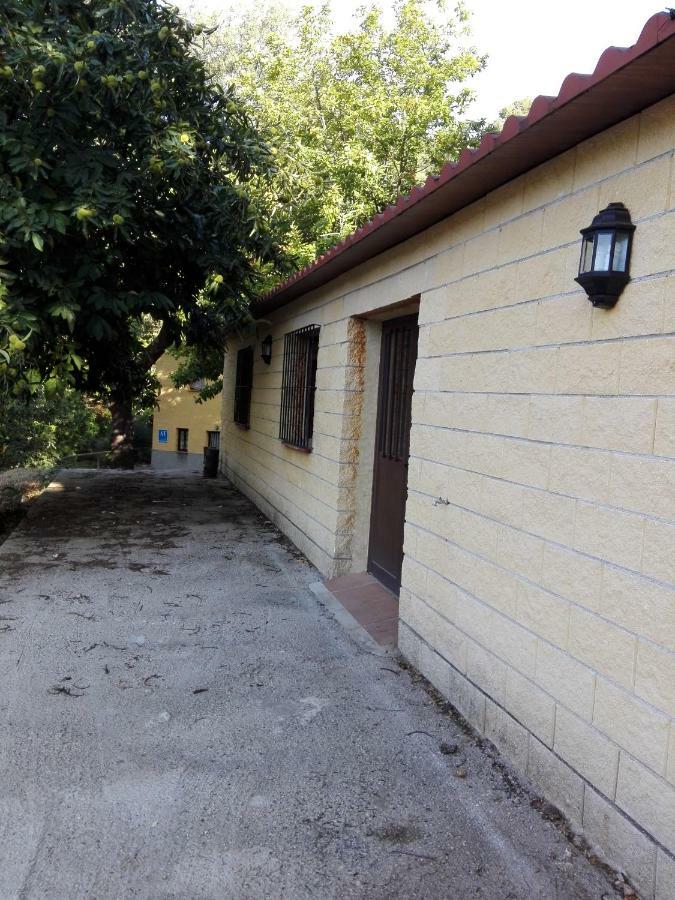 El Viejo Castano - Valle Del Genal Pujerra