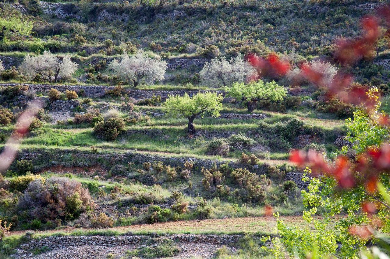 Casa rural La Covarxella *