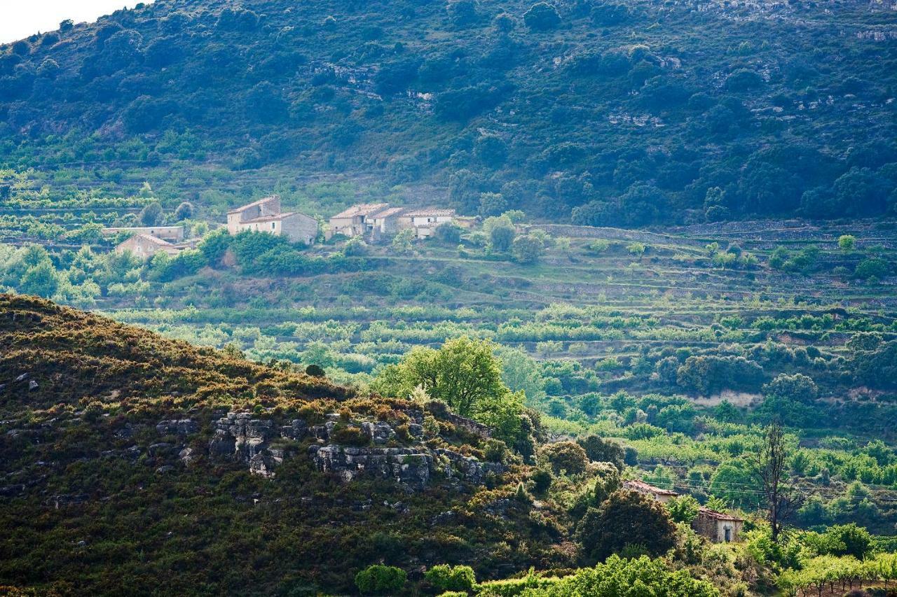 La Covarxella *