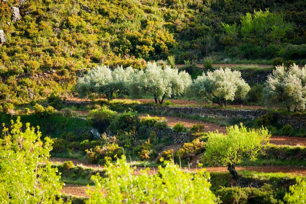La Covarxella
