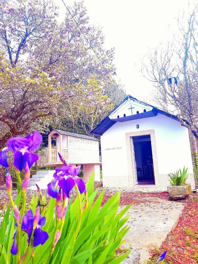 Holiday home Casa Pizarra *