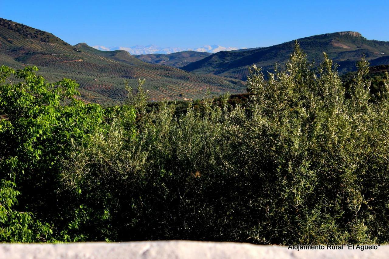 Rural El Agüelo Agroturismo *