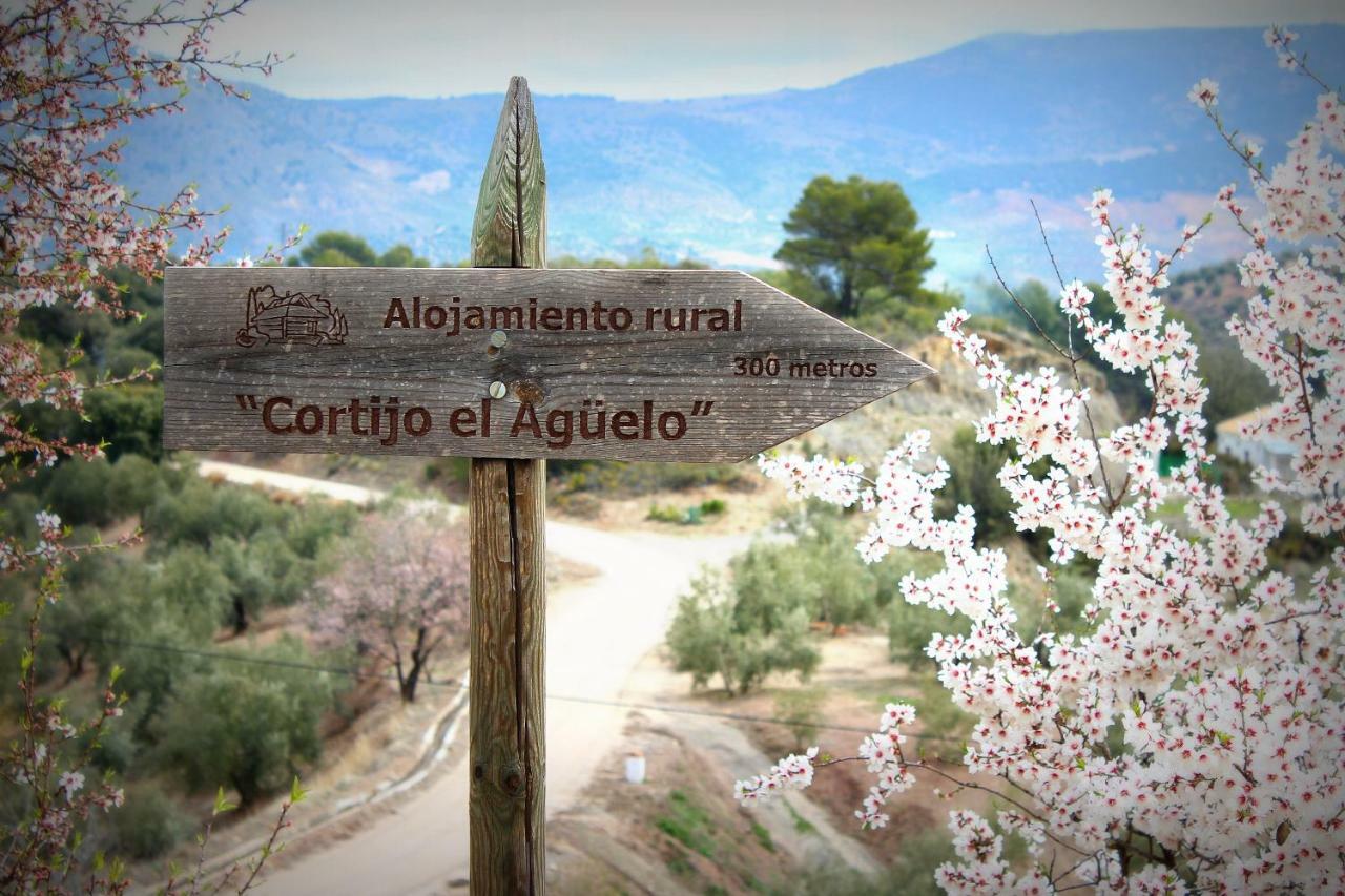 Rural El Agüelo Agroturismo