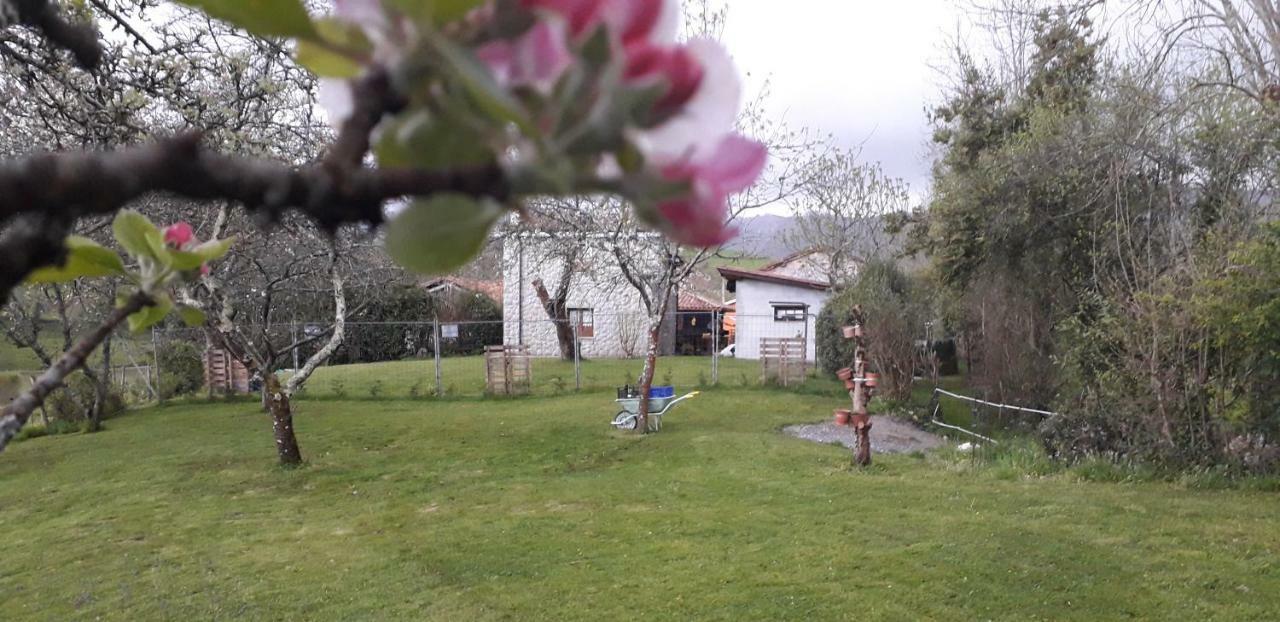 Flor De Pomar Сasa de vacaciones Corao
