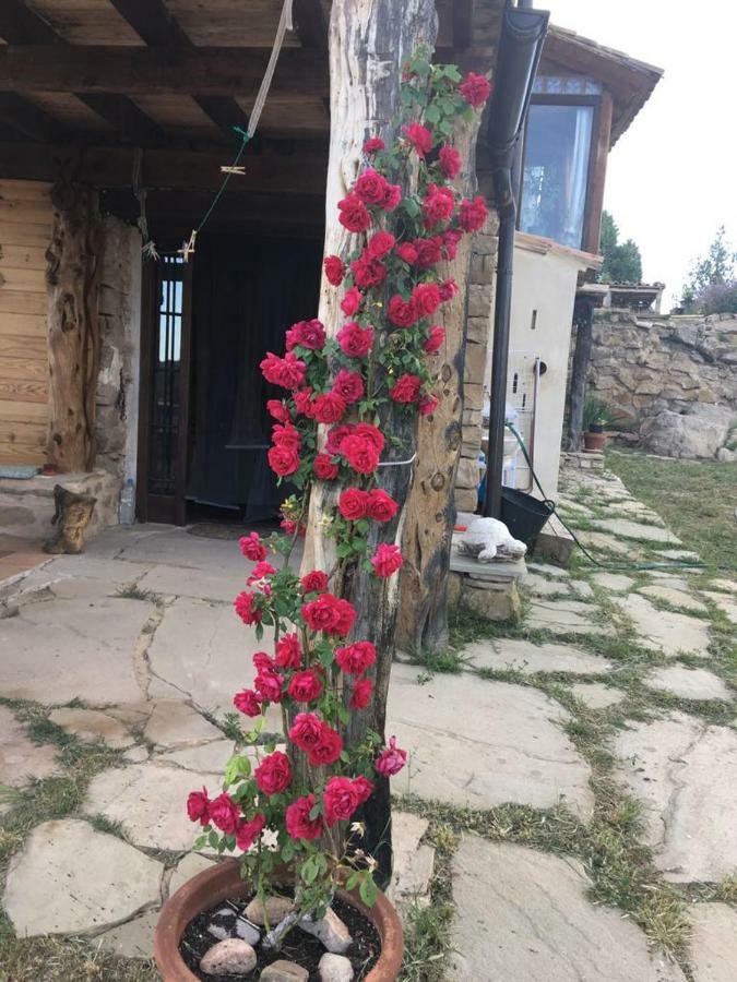 Monolocal Rural Con Encanto *