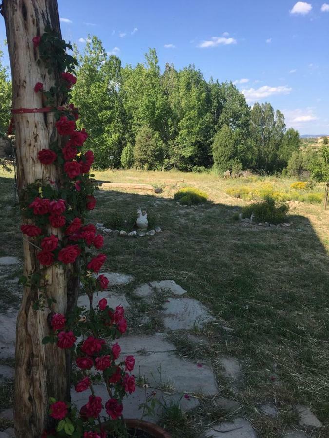 Monolocal Rural Con Encanto Valbona