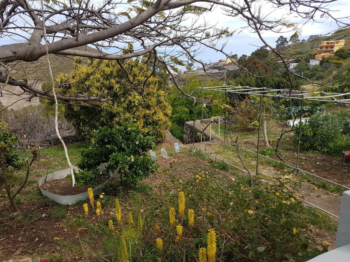 Casa rural Rural En Santa Cruz De Tenerife *