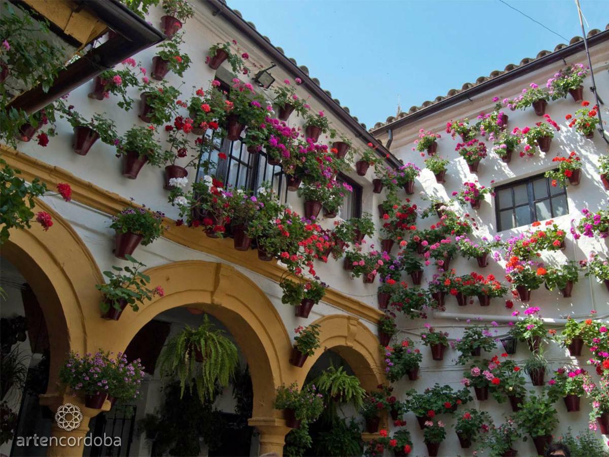 Duplex-atico De Nacar Casco Historico Holiday home