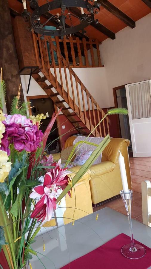 La Huerta Con Piscina Chimenea Y Wifi * Conil De La Frontera