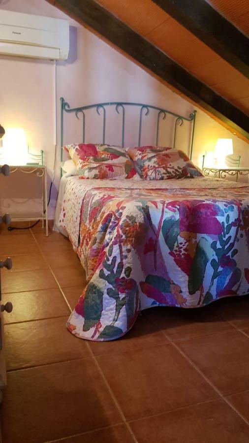 La Huerta Con Piscina Chimenea Y Wifi Conil De La Frontera