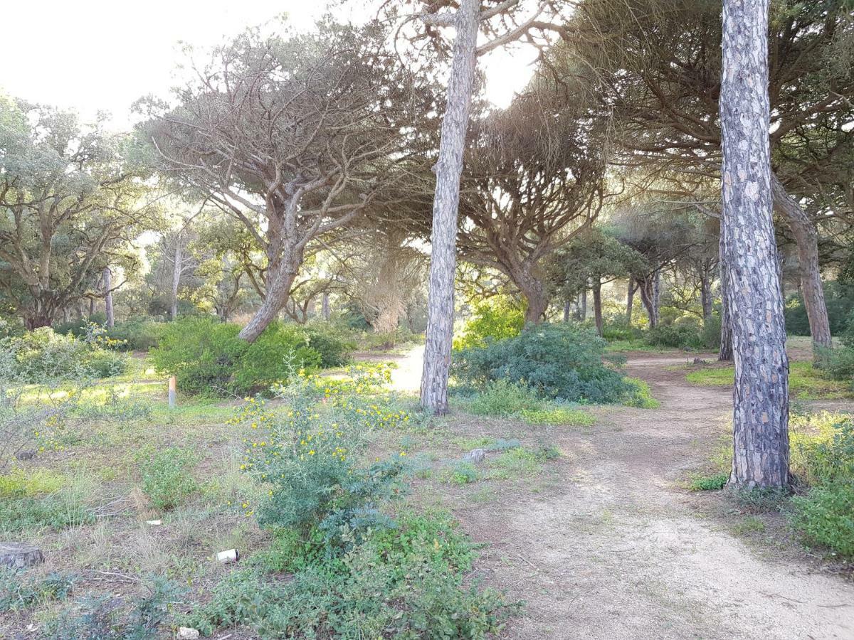 Apartamento Pinar Del Atlántico-la Barrosa *