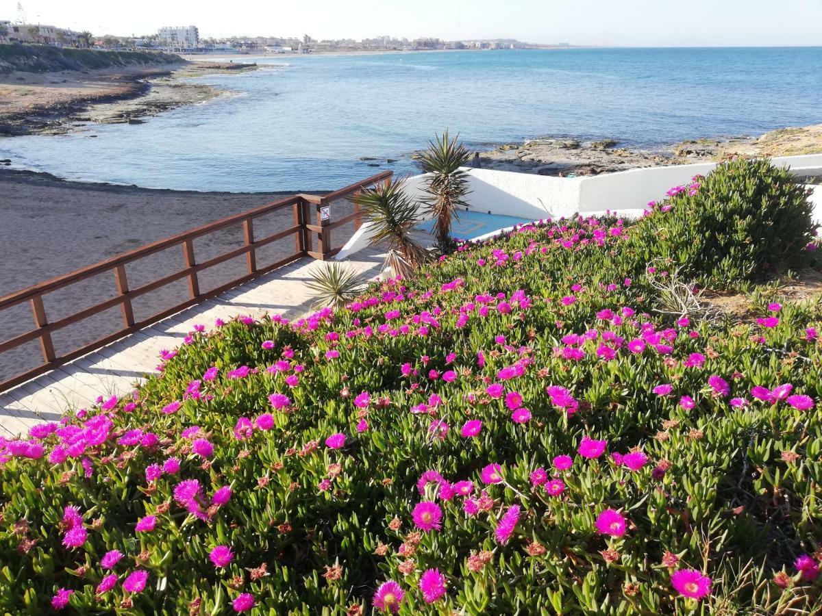 Cozy Studio In * Torrevieja