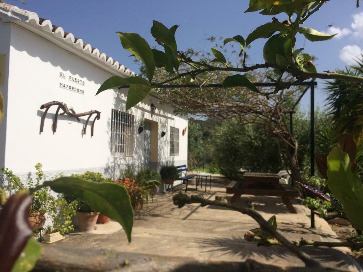 Rural El Puerto Mayordomo