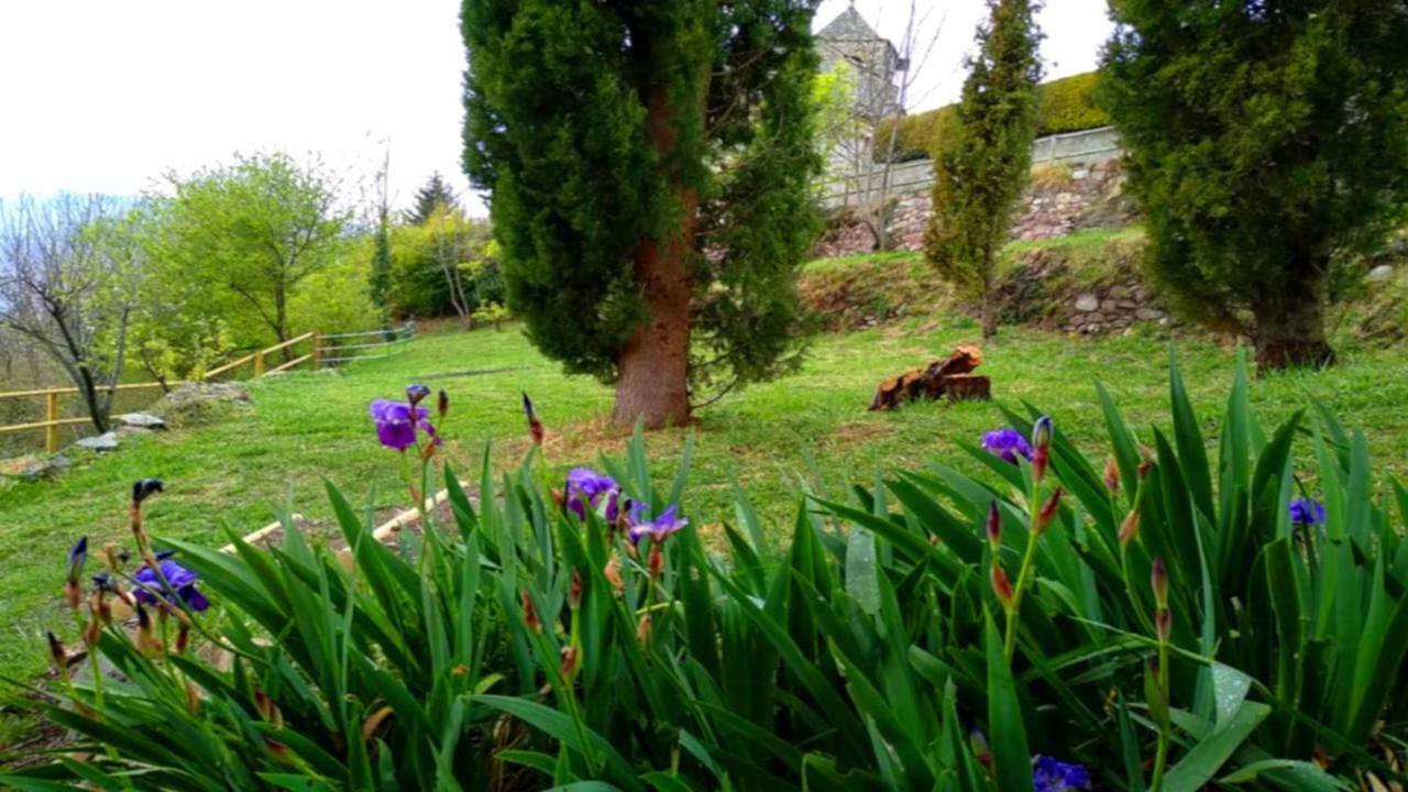 Casa rural Torrent Vell De
